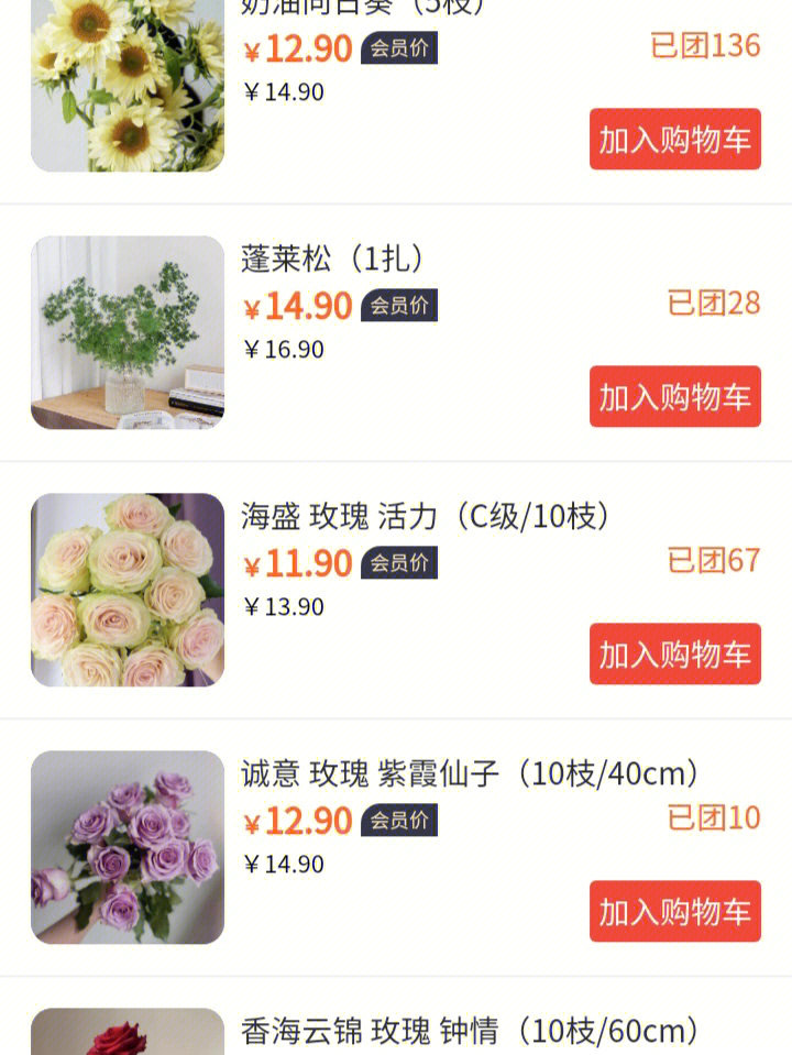今日花价行情概览，花卉市场的繁荣与变迁