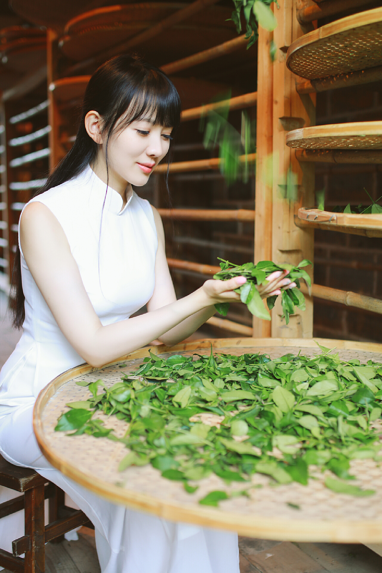 茶茶新篇章，品味生活艺术与创新之道