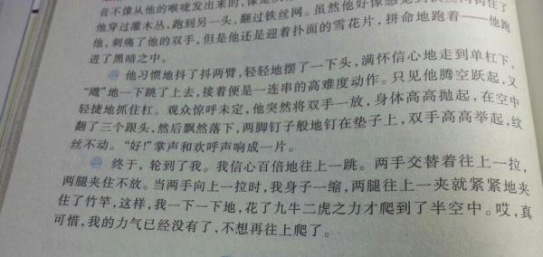 赛道上的青春燃烧，跑步比赛的激情瞬间