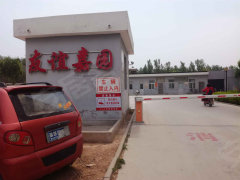 冀州房屋出租全方位指南，为您寻找理想居所的最新指南