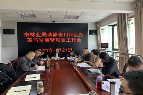 玻璃基覆铜板 第21页