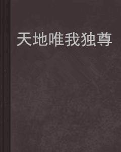 唯我独尊，探索个人力量的巅峰，最新章节汇总