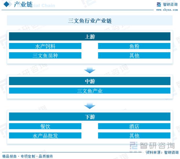 三文鱼价格最新走势，市场波动中的消费者洞察与趋势分析