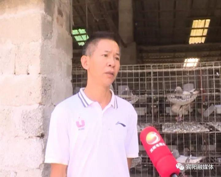 贵州H7N9动态更新，共筑健康防线，关注最新消息